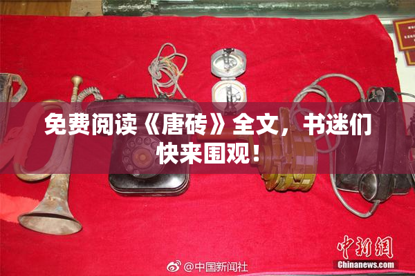 免费阅读《唐砖》全文，书迷们快来围观！
