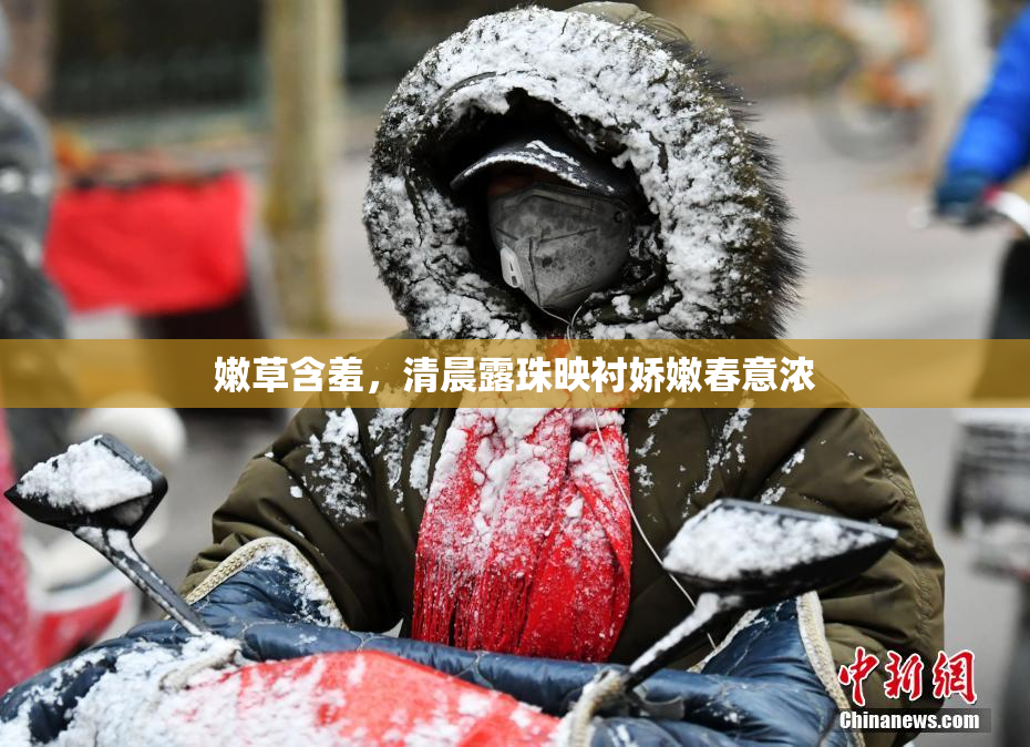 嫩草含羞，清晨露珠映衬娇嫩春意浓