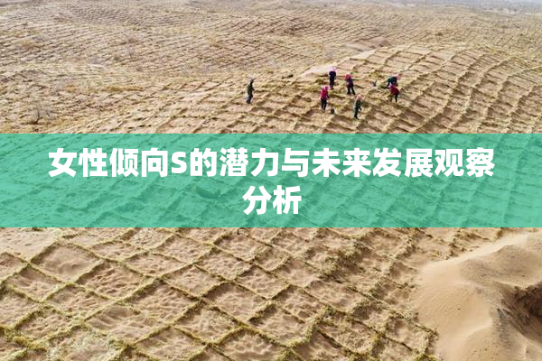 女性倾向S的潜力与未来发展观察分析