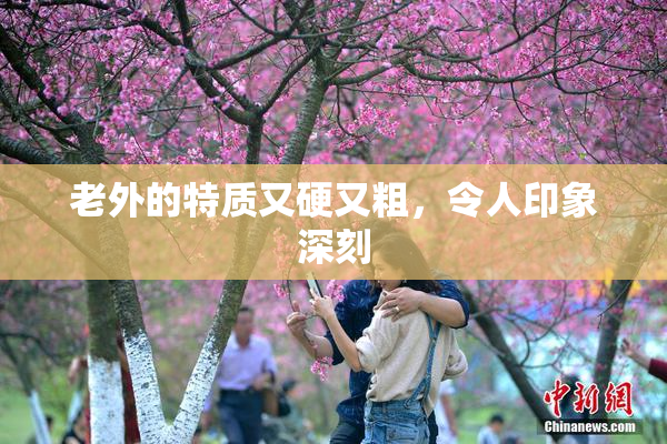 老外的特质又硬又粗，令人印象深刻