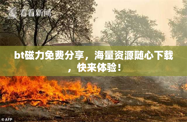 bt磁力免费分享，海量资源随心下载，快来体验！