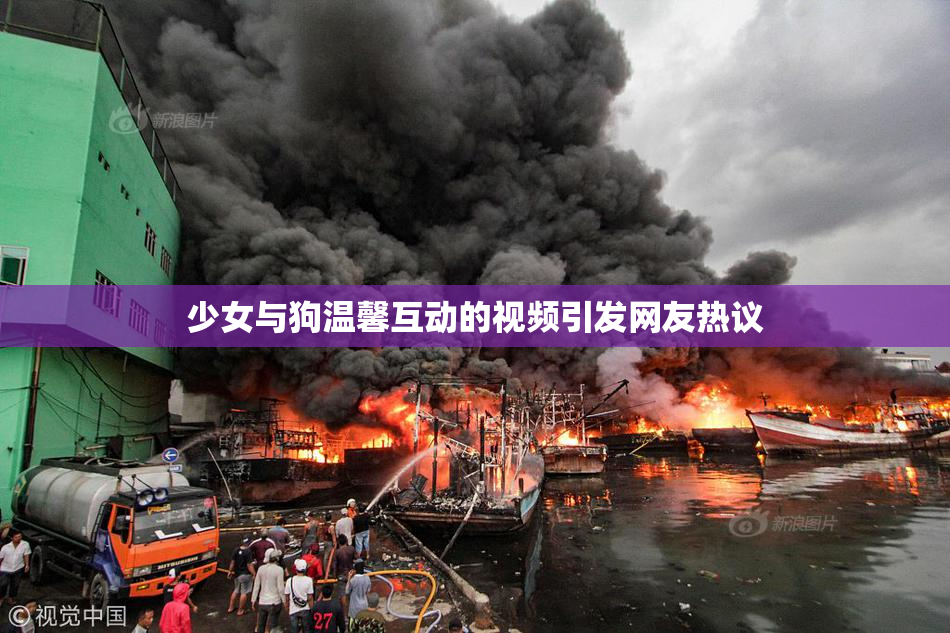 少女与狗温馨互动的视频引发网友热议