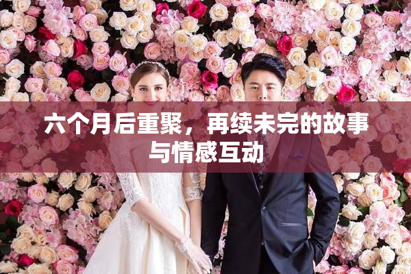 六个月后重聚，再续未完的故事与情感互动