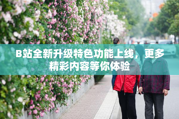 B站全新升级特色功能上线，更多精彩内容等你体验