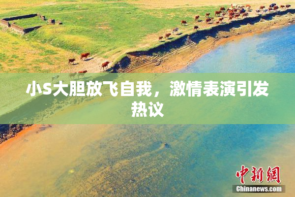 小S大胆放飞自我，激情表演引发热议