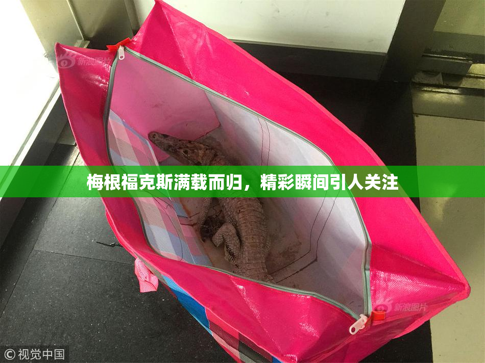 梅根福克斯满载而归，精彩瞬间引人关注