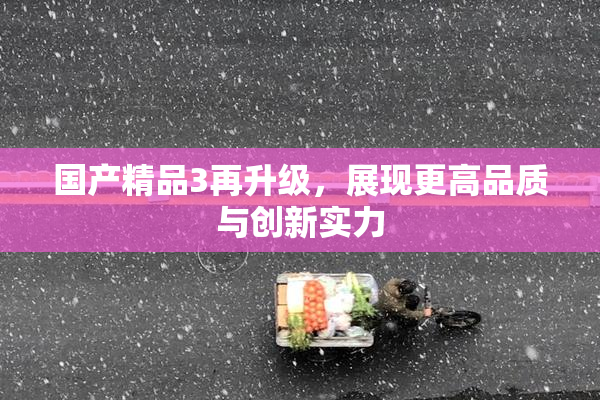 国产精品3再升级，展现更高品质与创新实力