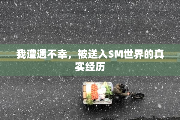 我遭遇不幸，被送入SM世界的真实经历