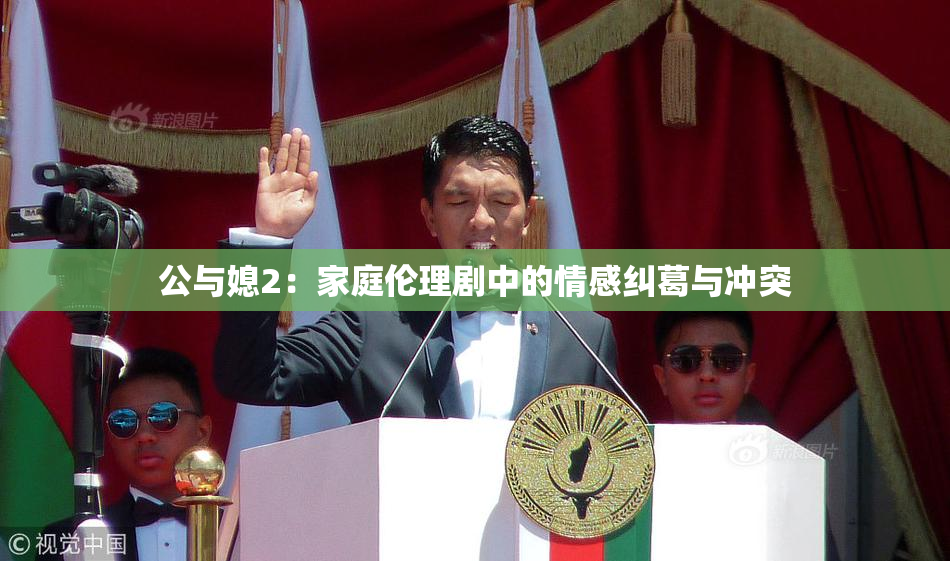 公与媳2：家庭伦理剧中的情感纠葛与冲突