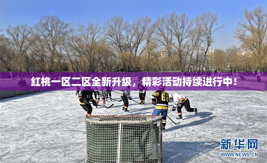 红桃一区二区全新升级，精彩活动持续进行中！
