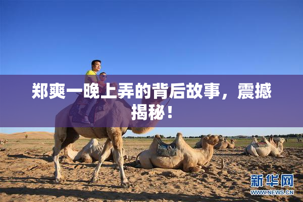 郑爽一晚上弄的背后故事，震撼揭秘！