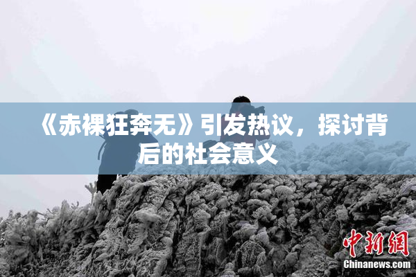 《赤裸狂奔无》引发热议，探讨背后的社会意义