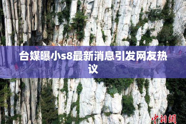 台媒曝小s8最新消息引发网友热议