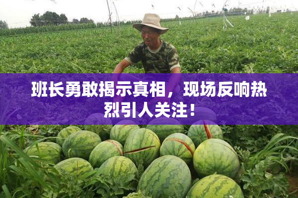 班长勇敢揭示真相，现场反响热烈引人关注！