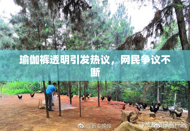 瑜伽裤透明引发热议，网民争议不断