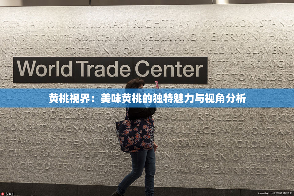 黄桃视界：美味黄桃的独特魅力与视角分析
