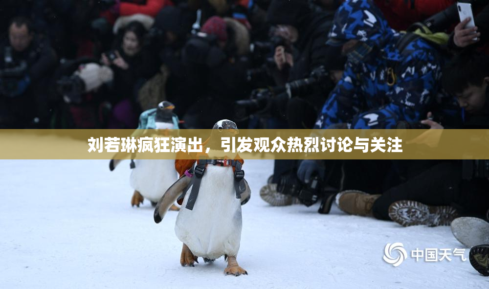 刘若琳疯狂演出，引发观众热烈讨论与关注