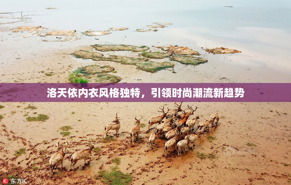 洛天依内衣风格独特，引领时尚潮流新趋势