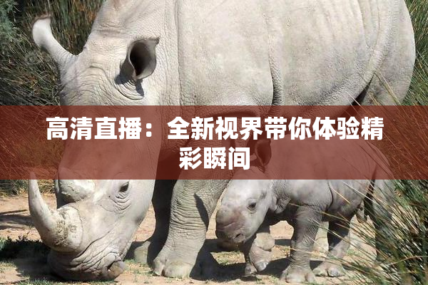 高清直播：全新视界带你体验精彩瞬间