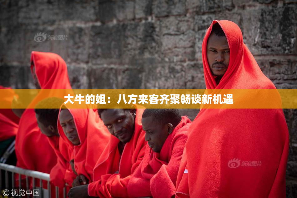 大牛的姐：八方来客齐聚畅谈新机遇