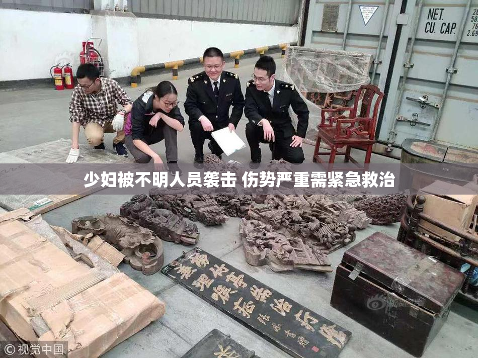 少妇被不明人员袭击 伤势严重需紧急救治