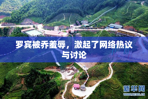 罗宾被乔羞辱，激起了网络热议与讨论