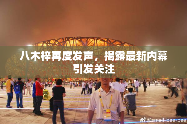 八木梓再度发声，揭露最新内幕引发关注