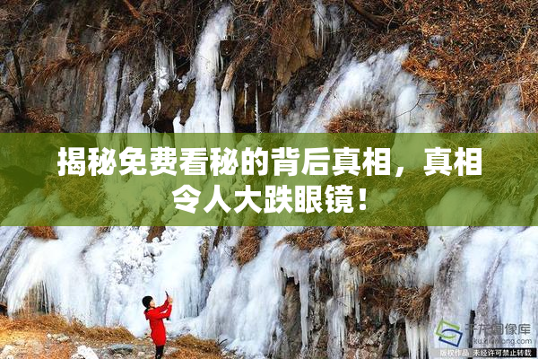 揭秘免费看秘的背后真相，真相令人大跌眼镜！
