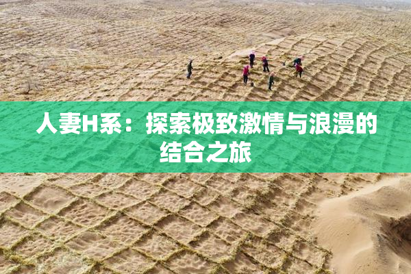 人妻H系：探索极致激情与浪漫的结合之旅
