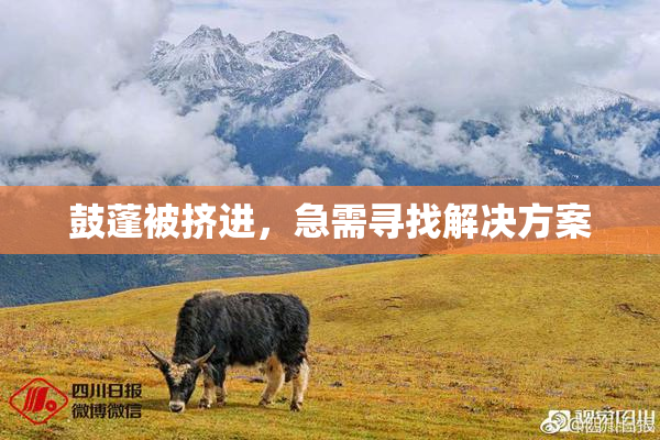 鼓蓬被挤进，急需寻找解决方案