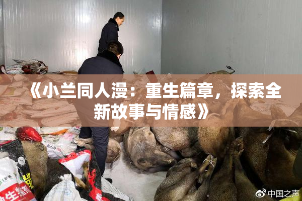 《小兰同人漫：重生篇章，探索全新故事与情感》