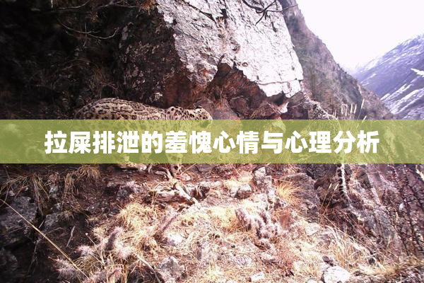 拉屎排泄的羞愧心情与心理分析