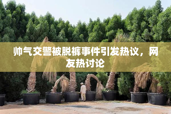 帅气交警被脱裤事件引发热议，网友热讨论
