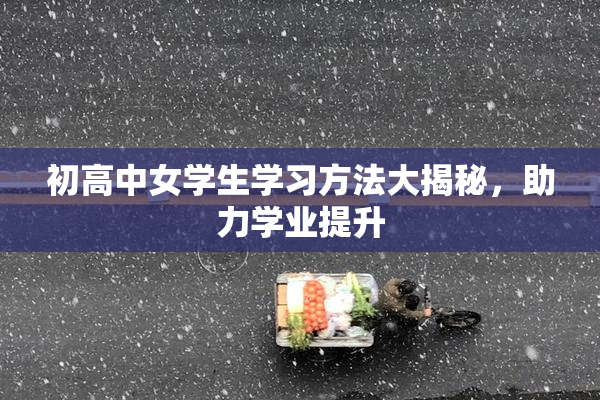 初高中女学生学习方法大揭秘，助力学业提升