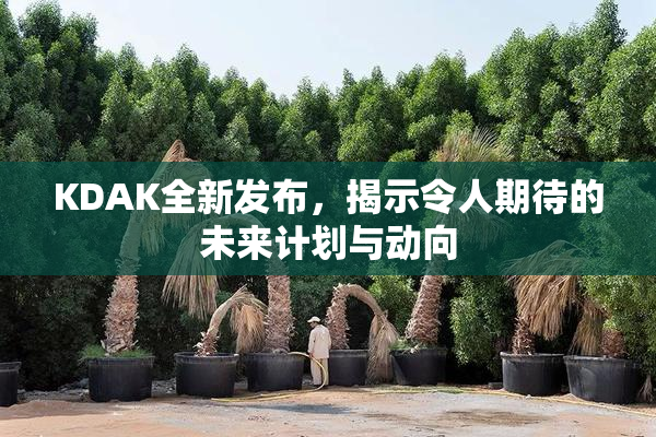 KDAK全新发布，揭示令人期待的未来计划与动向