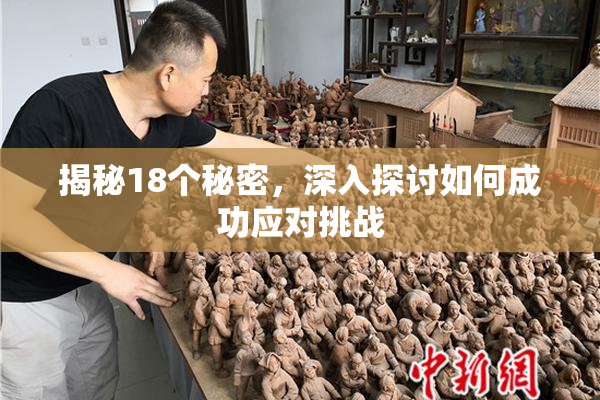 揭秘18个秘密，深入探讨如何成功应对挑战