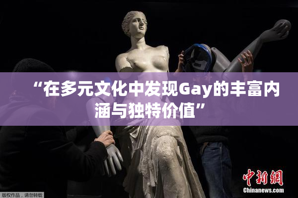 “在多元文化中发现Gay的丰富内涵与独特价值”
