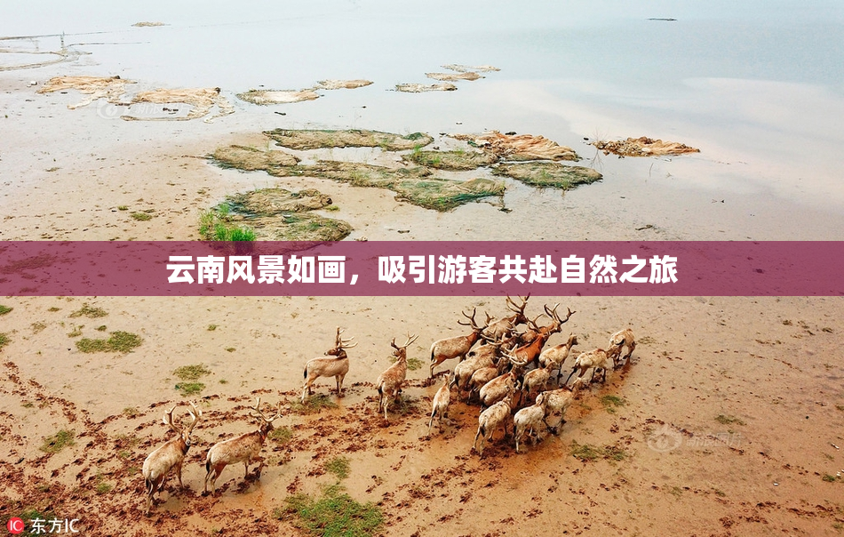 云南风景如画，吸引游客共赴自然之旅