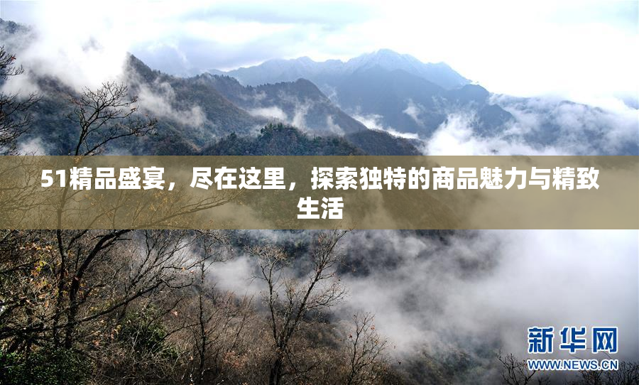 51精品盛宴，尽在这里，探索独特的商品魅力与精致生活