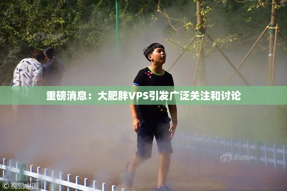 重磅消息：大肥胖VPS引发广泛关注和讨论