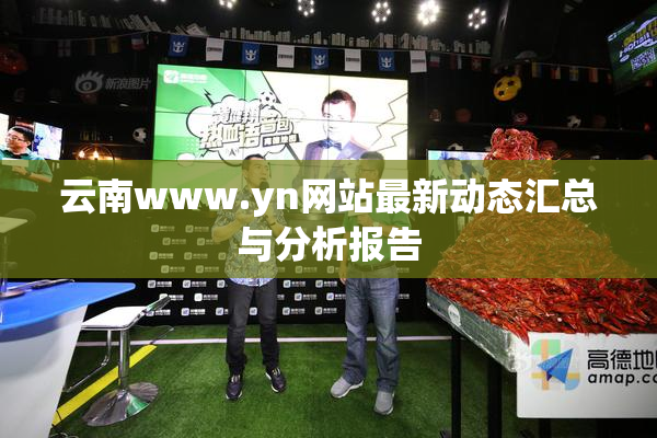 云南www.yn网站最新动态汇总与分析报告