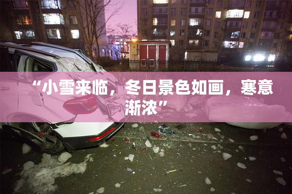 “小雪来临，冬日景色如画，寒意渐浓”