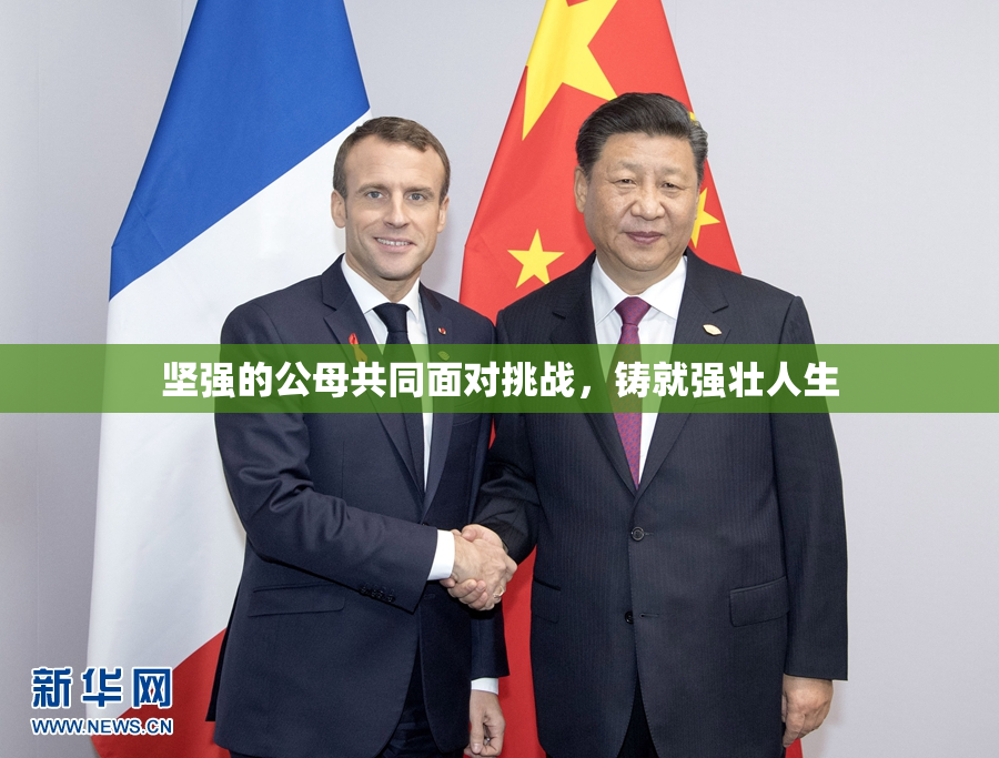 坚强的公母共同面对挑战，铸就强壮人生