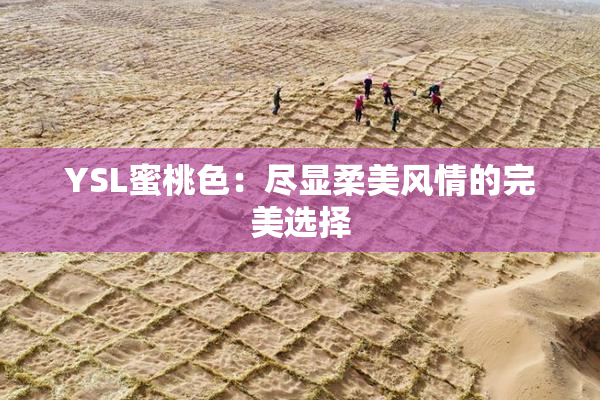 YSL蜜桃色：尽显柔美风情的完美选择