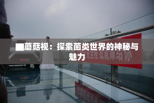 ▇蘑菇视：探索菌类世界的神秘与魅力