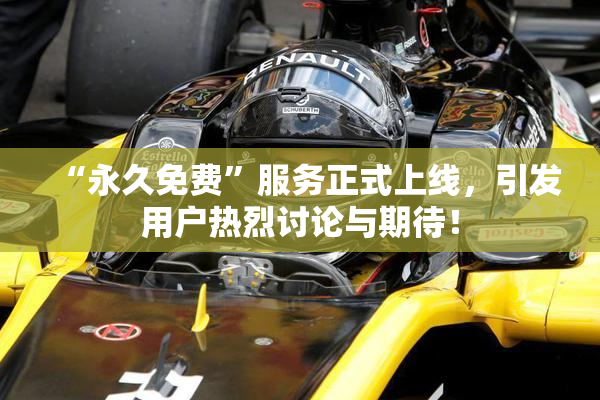 “永久免费”服务正式上线，引发用户热烈讨论与期待！