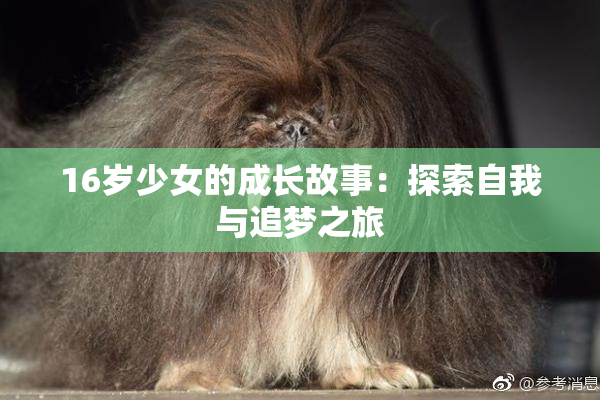 16岁少女的成长故事：探索自我与追梦之旅