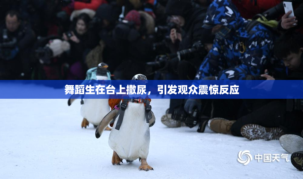 舞蹈生在台上撒尿，引发观众震惊反应