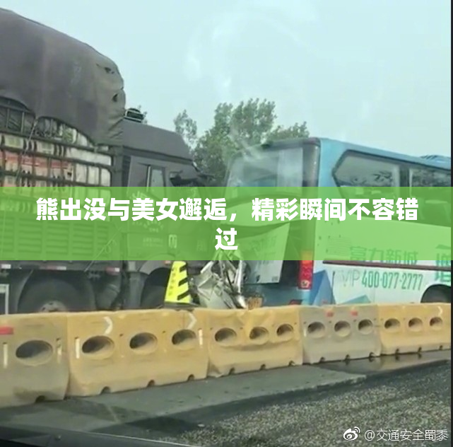 熊出没与美女邂逅，精彩瞬间不容错过