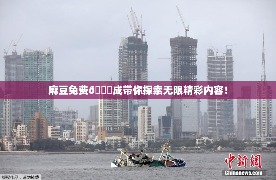 麻豆免费🔞成带你探索无限精彩内容！